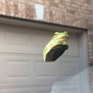 Meet your Posher, Danica